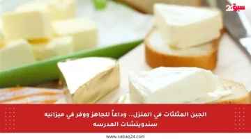 الجبن المثلثات في المنزل.. وداعاً للجاهز ووفر في ميزانية سندويتشات المدرسة